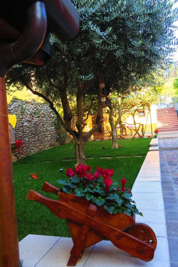 Bed and Breakfast Came Alzano Lombardo Exterior foto